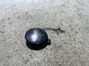 Front tow hook cap/cover 6V0807241
