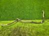 Air conditioning (A/C) pipe/hose 39123983