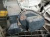 Manual 5 speed gearbox 