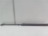 Tailgate/trunk strut/damper 81A827552B