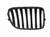 Kühlergrill 51112993307