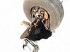 Grinda punții spate BG06074