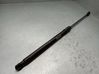 Tailgate/trunk strut/damper 