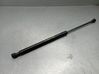 Tailgate/trunk strut/damper 