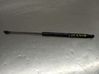 Tailgate/trunk strut/damper 