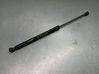 Tailgate/trunk strut/damper 