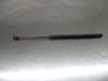 Tailgate/trunk strut/damper 