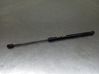 Tailgate/trunk strut/damper 