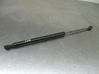 Tailgate/trunk strut/damper 