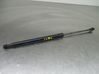 Tailgate/trunk strut/damper 