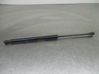 Tailgate/trunk strut/damper 