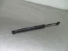 Tailgate/trunk strut/damper 