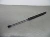 Tailgate/trunk strut/damper 