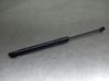 Tailgate/trunk strut/damper 
