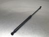 Tailgate/trunk strut/damper 