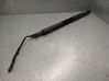 Tailgate/trunk strut/damper 