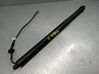 Tailgate/trunk strut/damper 