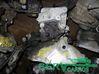 Manual 5 speed gearbox 