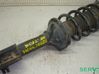 Rear shock absorber/damper 