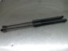 Tailgate/trunk strut/damper 
