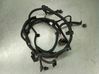 Other wiring loom 