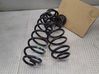 Rear coil spring 