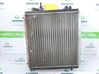Radiateur de refroidissement 6006000712