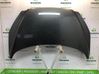 Engine bonnet/hood 7901P6
