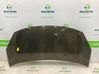 Engine bonnet/hood 7901R1