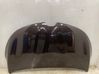 Engine bonnet/hood 651004670R