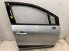 Front door 801009996R