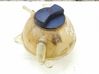 Coolant expansion tank/reservoir 