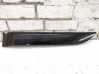 Rear door trim (molding) 