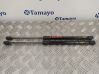 Tailgate/trunk strut/damper 81770G6010