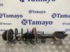 Front shock absorber with coil spring 8200813791D
