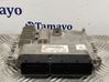 Engine control unit/module 391402A200