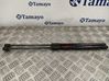 Tailgate/trunk strut/damper 8X482755202S