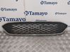 Front grill F1EB8200A