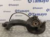 Aizmugurē riteņa rumbas vārpstas šarnīrs (stupica, capfa) 341325201