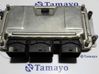 Engine control unit/module 0261206606
