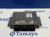 Engine control unit/module 215842283