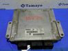 Engine control unit/module 0281010595