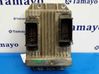 Engine control unit/module 8973641320