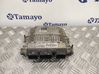 Engine control unit/module 5WS40046CT