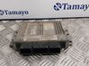 Engine control unit/module 9646988980