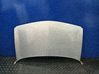 Motorhaube 