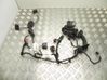 Other wiring loom 8V5114603CB