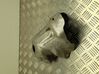Exhaust heat shield 9809695280
