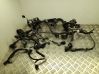 Engine installation wiring loom 02193W