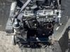 Motor DNAB